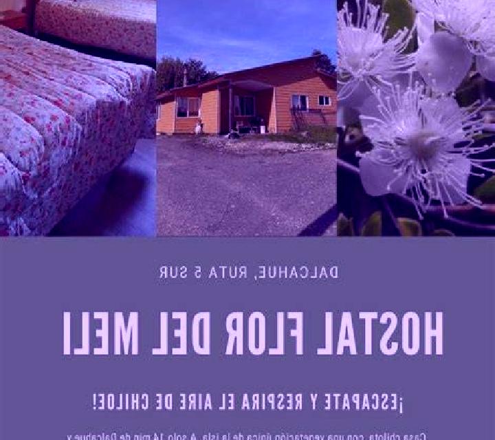 Belén 3 Dalcahue escort