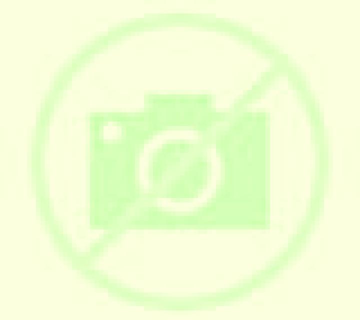 Brisa Quilicura escort