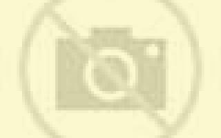 Cinthia Chiguayante escort
