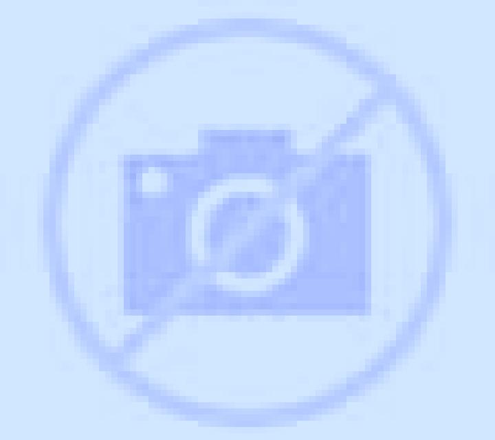 Cony 2 Copiapo escort