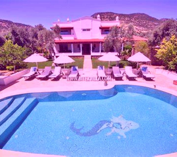 Cony 3 Villa Europa escort