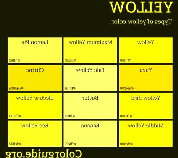 Cony San Esteban escort