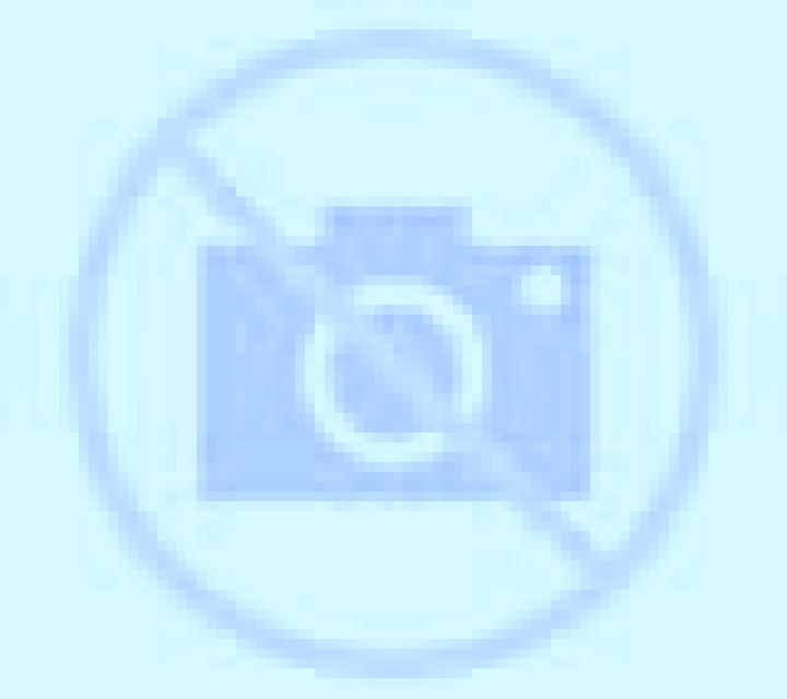 Fresia Temuco escort