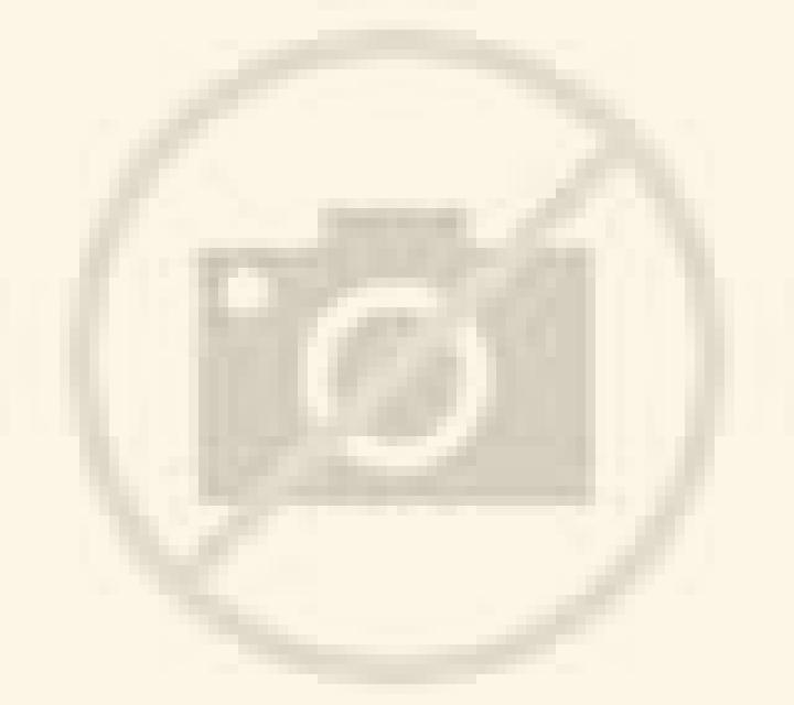 Javiera 2 Collipulli escort