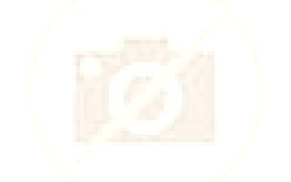Martina Chepica escort