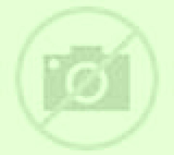 Martina Los Vilos escort