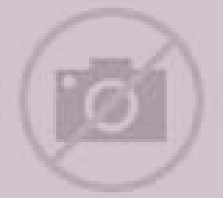 Noelia 2 Empedrado escort