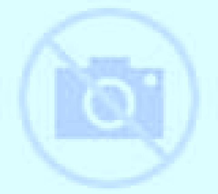 Noelia 3 Coquimbo escort
