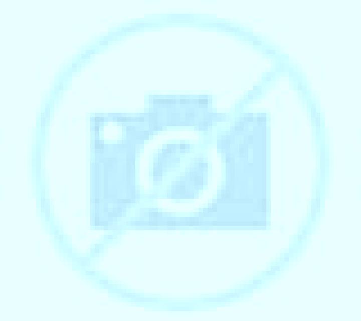 Paloma 3 Lebu escort