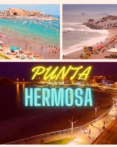 Paloma 3 Osorno escort
