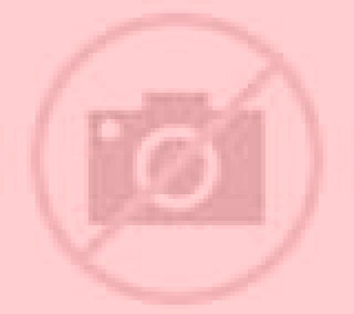 Paulina Vina del Mar escort