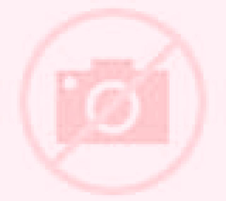 Regina Antofagasta escort