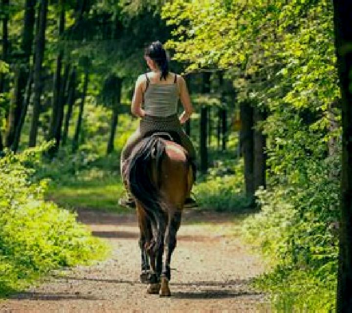Trinidad 2 Mejillones escort