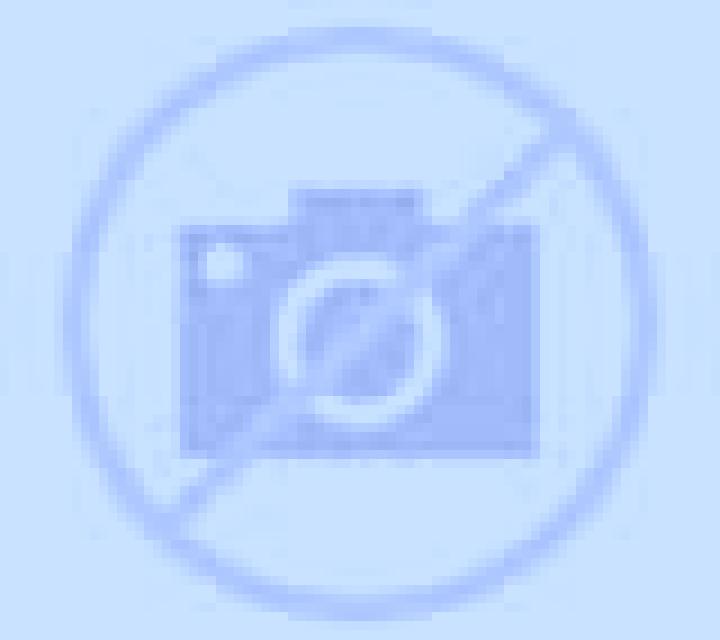 Trinidad Papudo escort