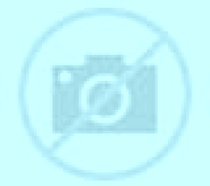 Valentina Placilla escort
