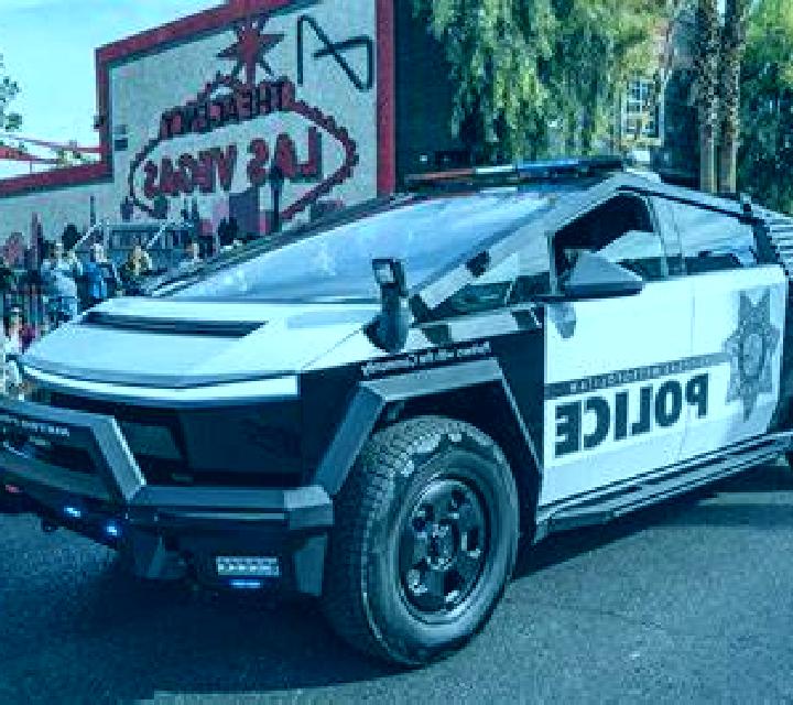 Vega Talagante escort